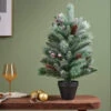 60cm Mini Frosted Tree With Berries And Pinecones