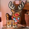 60cm Reindeer Infinity Light