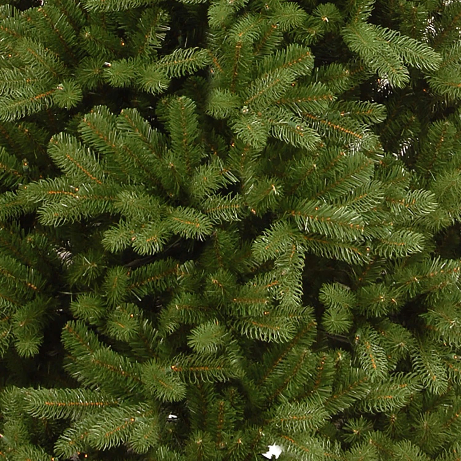6.5ft Slim Newberry Spruce Christmas Tree - Image 3