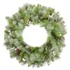 60cm Glittery Crestwood Wreath