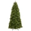 6.5ft Slim Newberry Spruce Christmas Tree